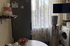 2-к. квартира, 67 м², Швейцарская деревня