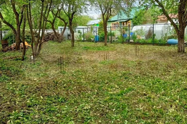 Участок 6 сот. (СНТ, ДНП)