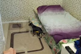 2-к. квартира, ул. Ленина, д. 99