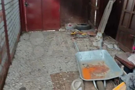 Дом 37,5 м² на участке 2 сот.