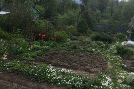 Продается участок, 10 сот, дер Ермолово

