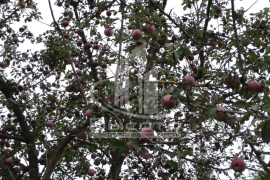 Продаётся дом д. Семыкино 93 м.кв